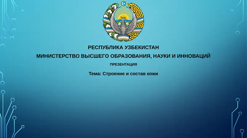 Строение и состав кожи