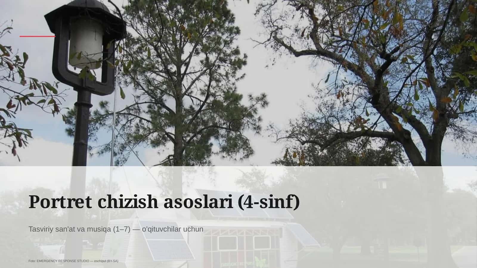 Portret chizish asoslari (4-sinf)