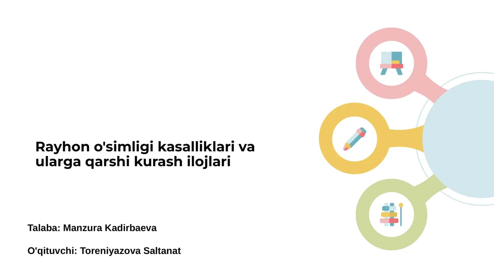 Rayhon o'simligi kasalliklari va ularga qarshi kurash ilojlari