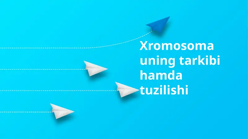 Xromosoma uning tarkibi hamda tuzilishi
