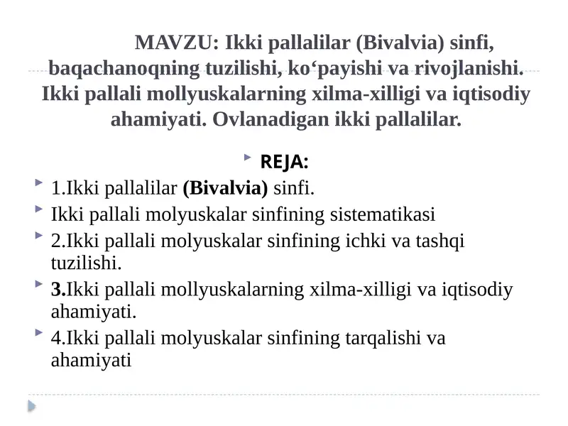 Ikki pallalilar (Bivalvia) sinfi