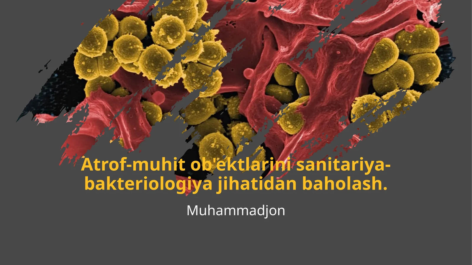 Atrof-muhit ob'ektlarini sanitariya-bakteriologiya jihatidan baholash