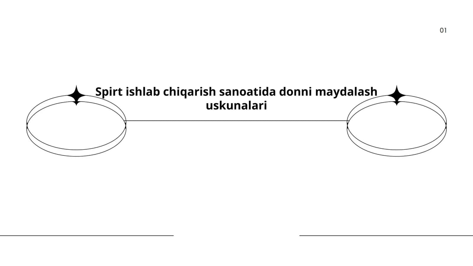 Spirt ishlab chiqarish sanoatida donni maydalash uskunalari