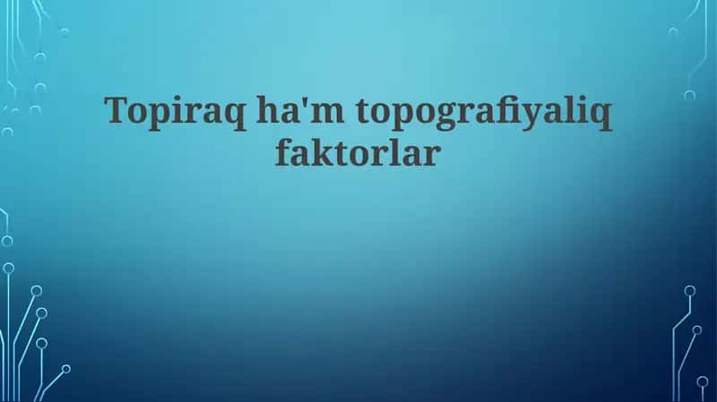 Topiraq ha'mtopografiyaliq faktorlar