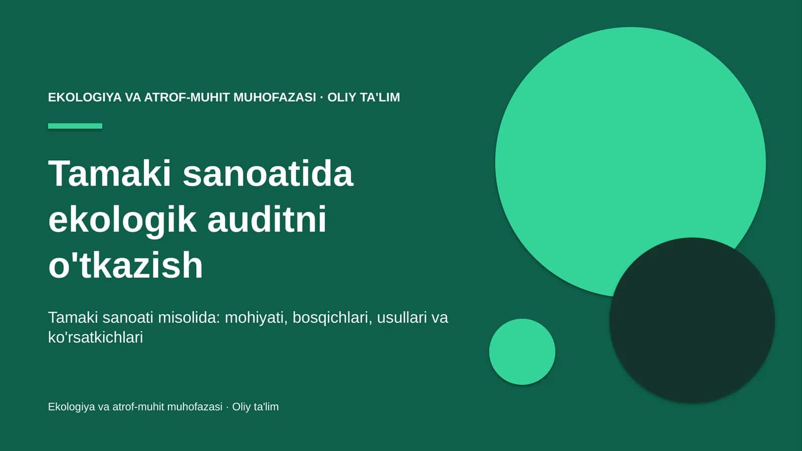 tamaki sanoatida ekologik auditni o'tkazish 5242