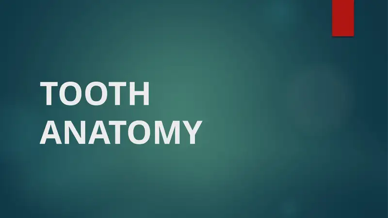 TOOTH ANATOMY