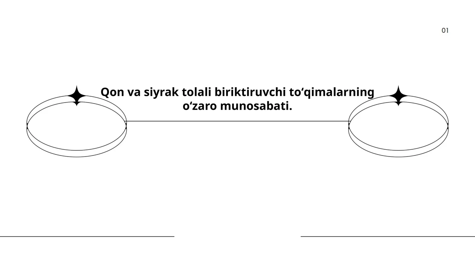 Kollagen tolalari va ularning funksiyalari