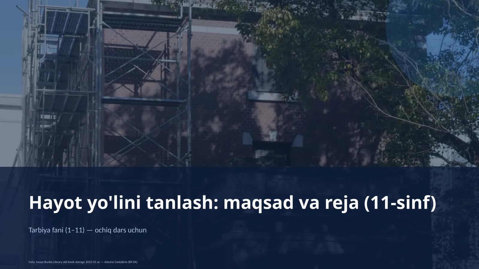 Hayot yo'lini tanlash: maqsad va reja (11-sinf)