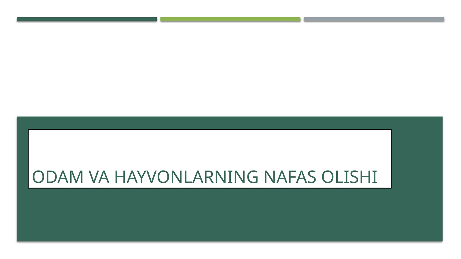 ODAM VA HAYVONLARNING NAFAS OLISHI