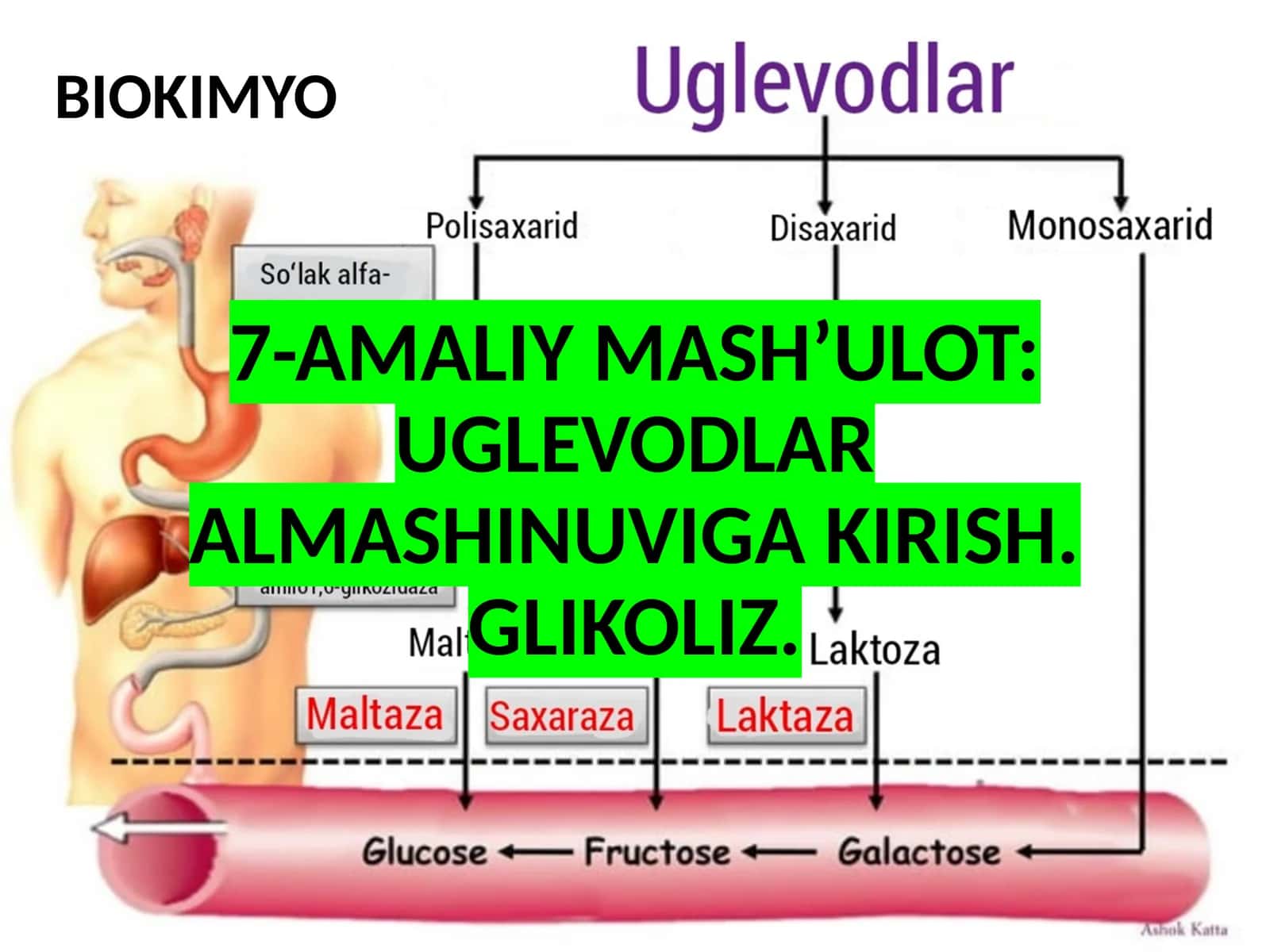7-AMALIY MASH’ULOT: UGLEVODLAR ALMASHINUVIGA