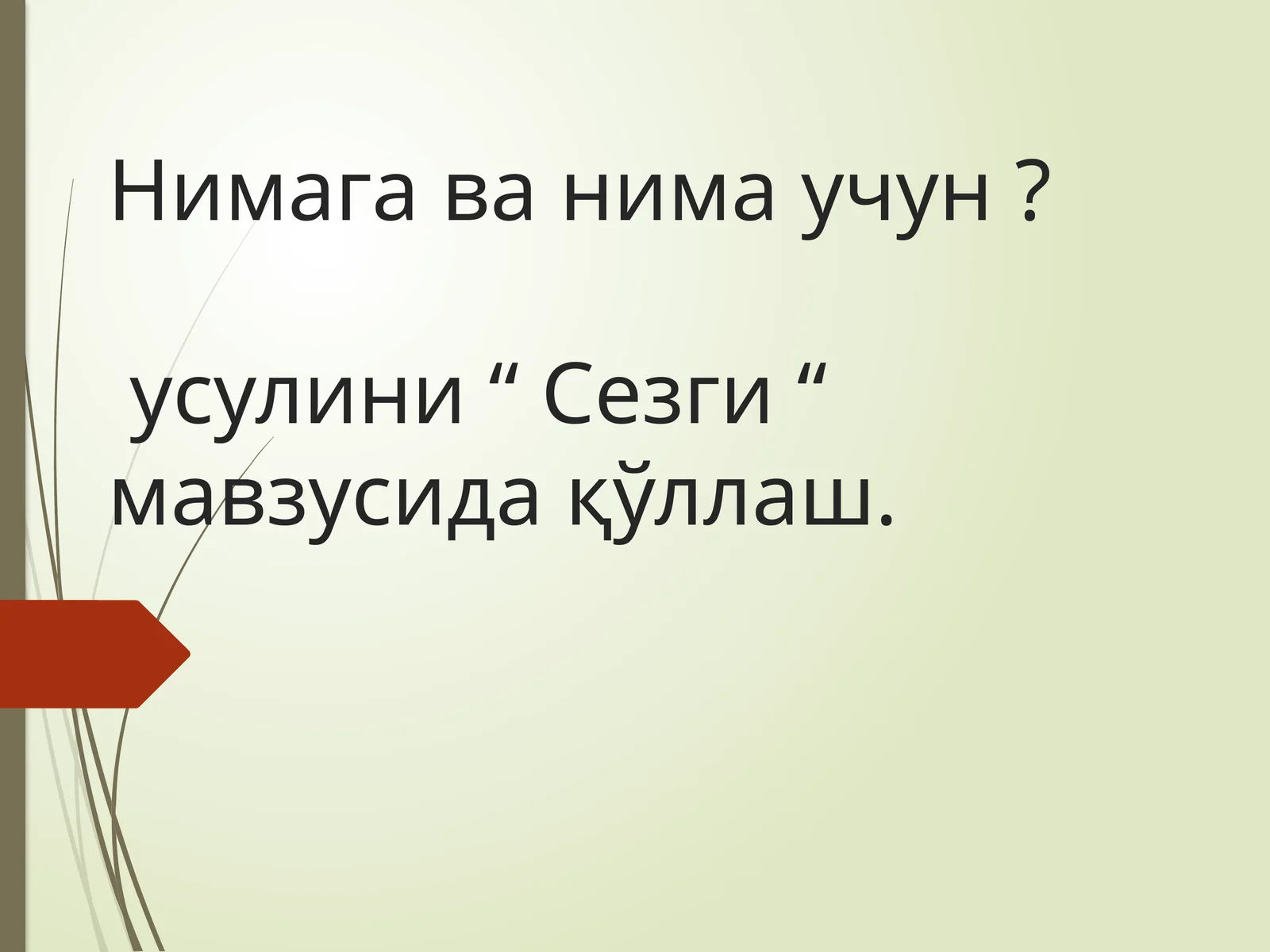 Нимага ва нима учун усулини “ Сезги “ мавзусида қўллаш