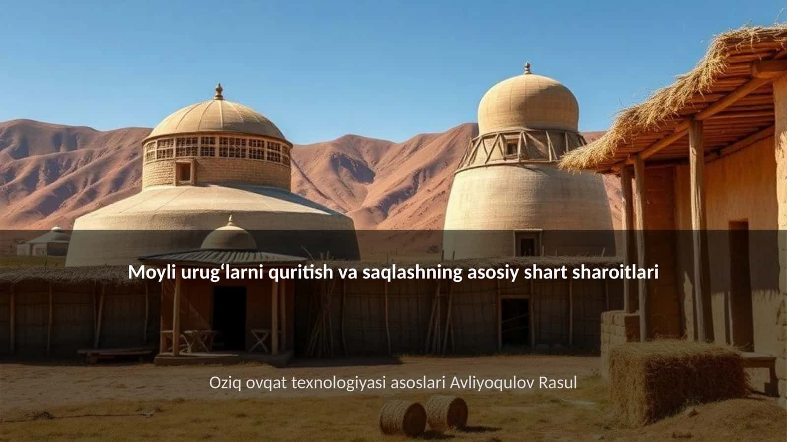 Moyli urugʻlarni quritish va saqlashning asosiy shart sharoitlari