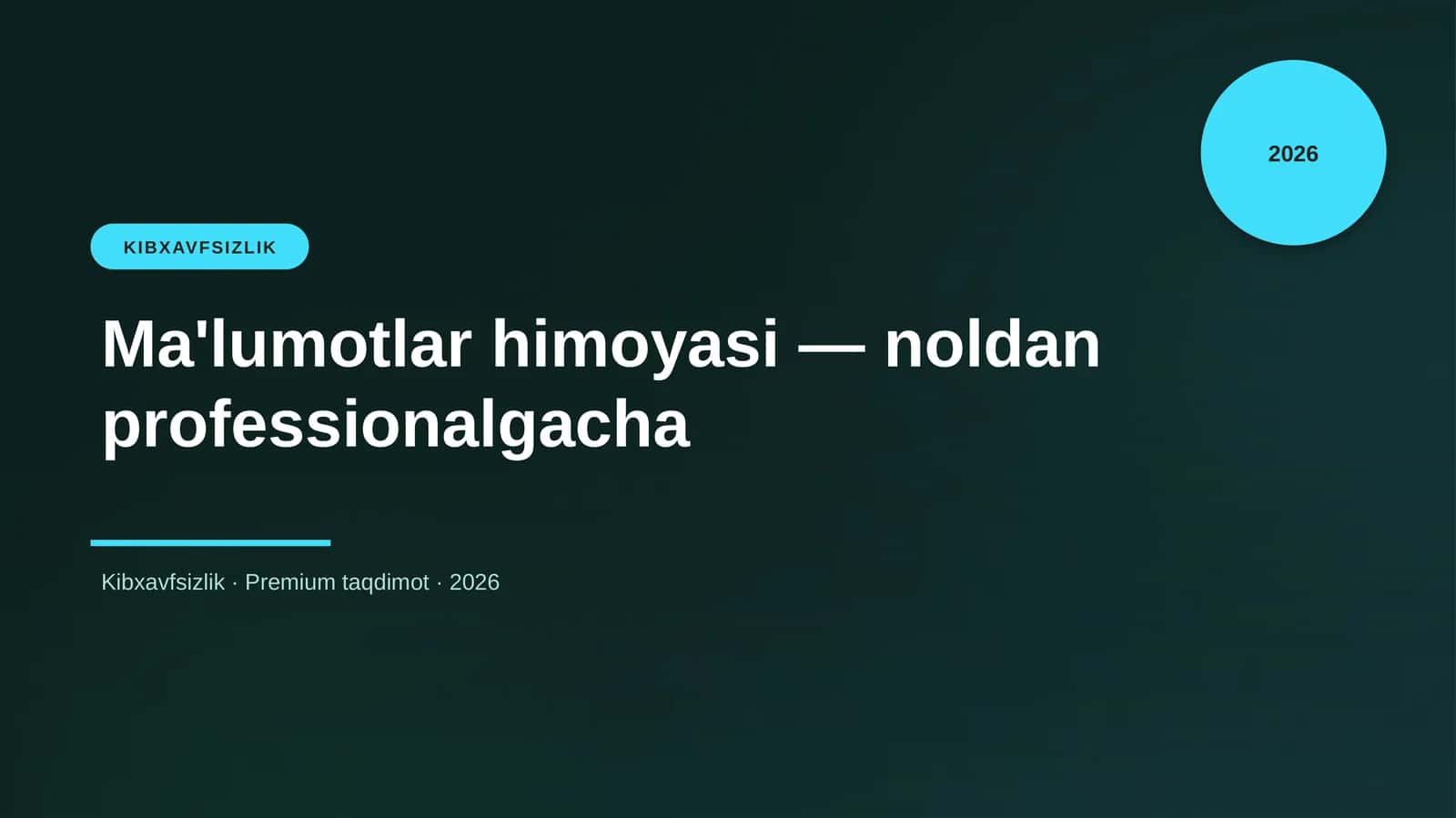 Ma'lumotlar himoyasi — noldan professionalgacha