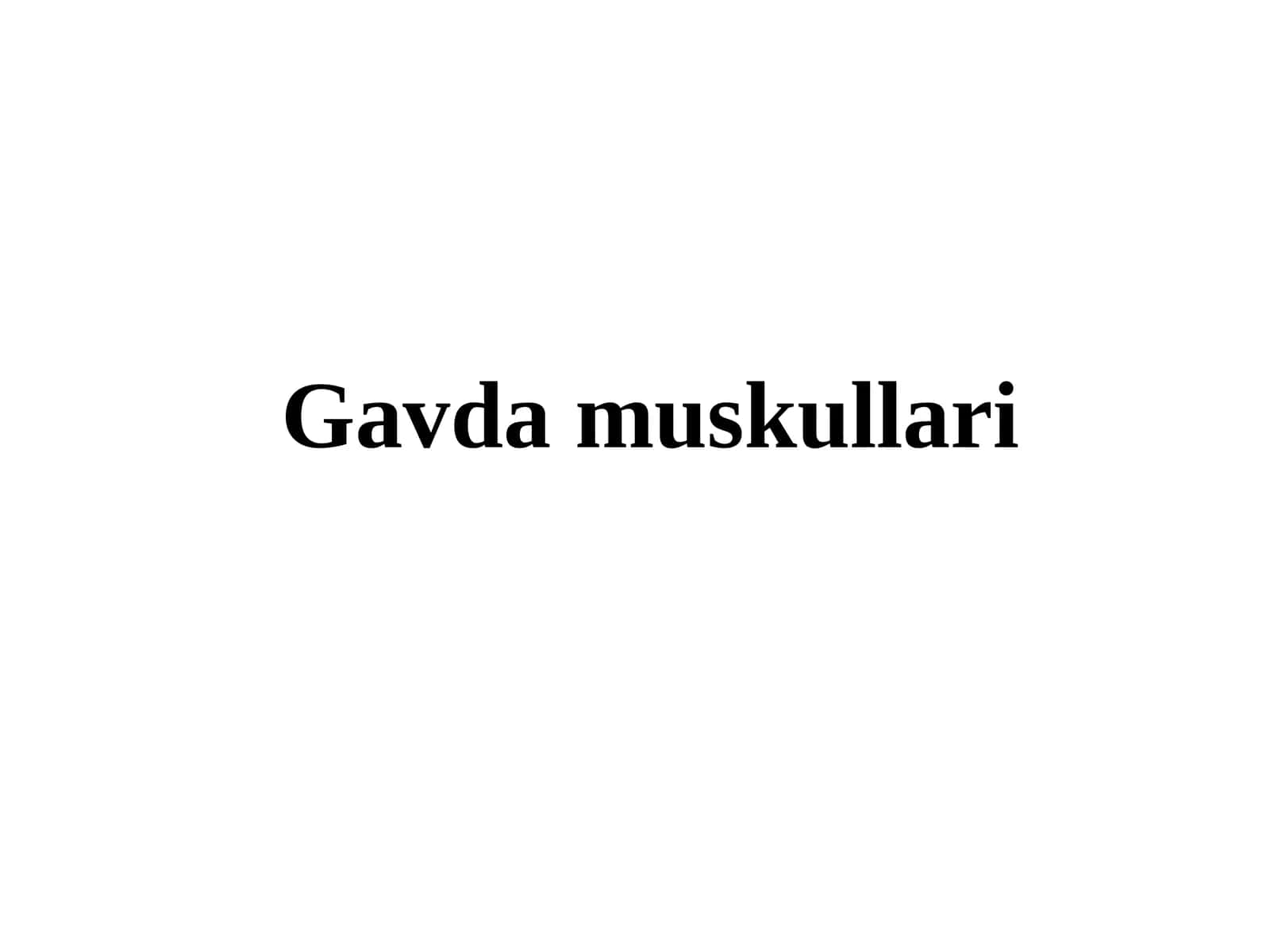 Gavda muskullari