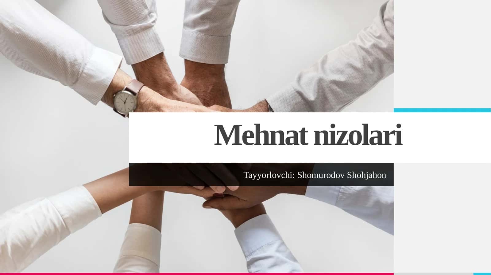 Mehnatnizolari
