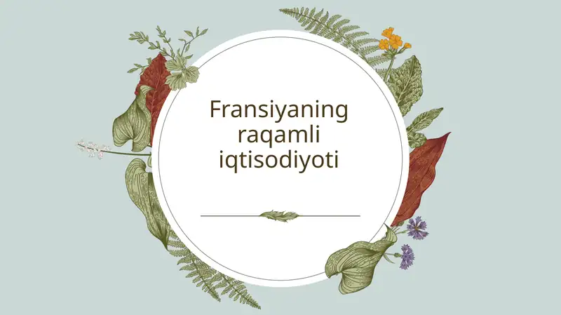 Fransiyaning raqamli iqtisodiyoti