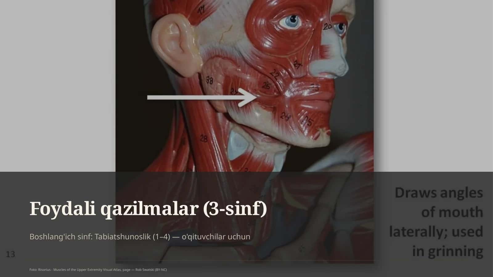 Foydali qazilmalar (3-sinf)