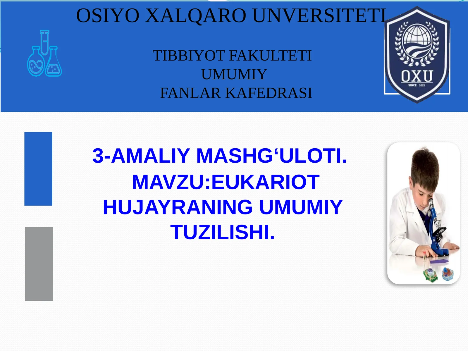 Eukariot Hujayraning Umumiy Tuzilishi