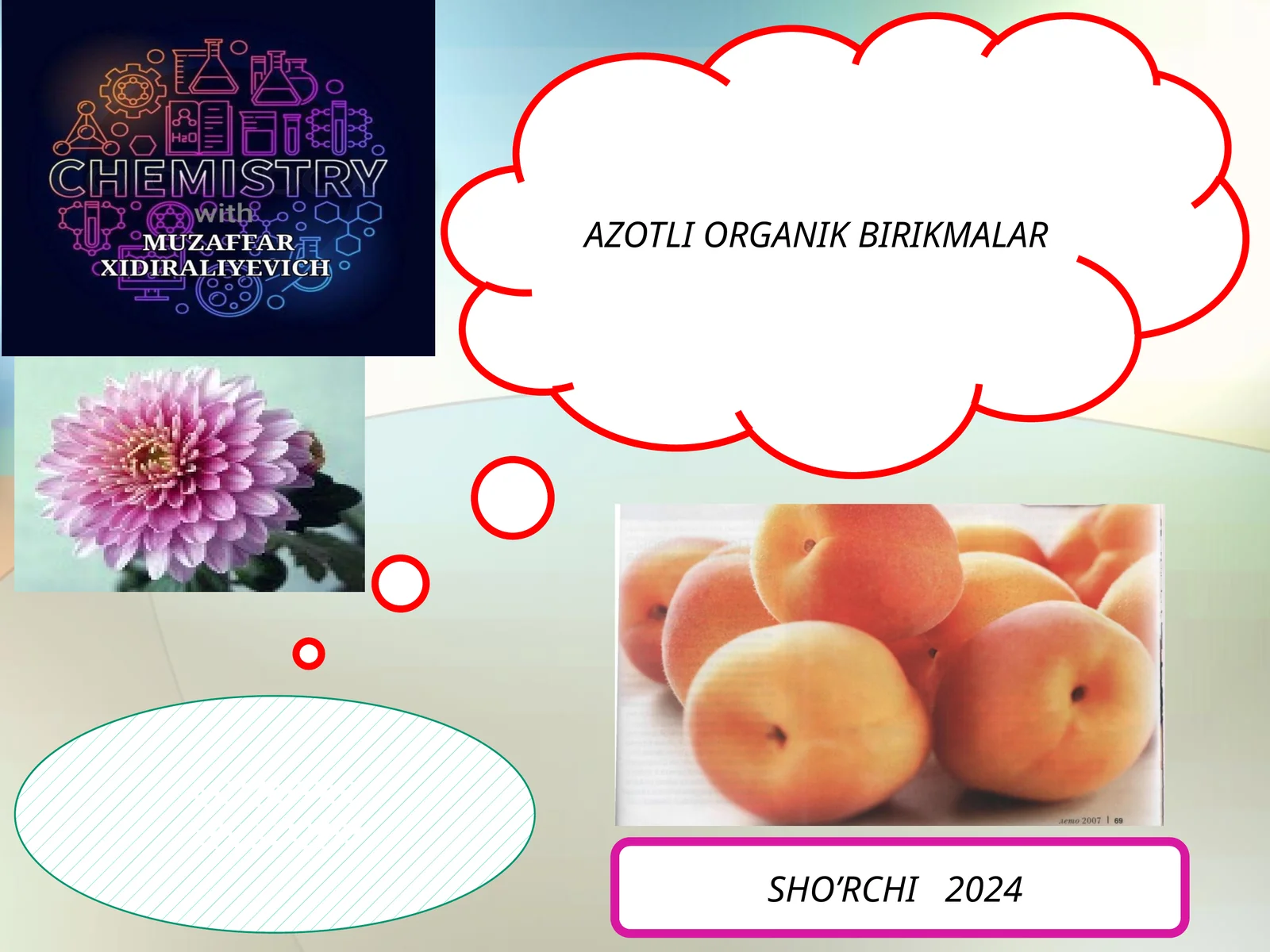 AZOTLI ORGANIK BIRIKMALAR