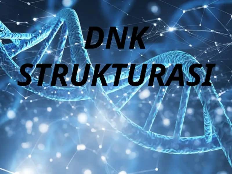 DNKSTRUKTURASI
