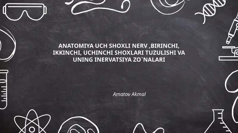Uch shoxli nerv, birinchi, ikkinchi, uchinchi shoxlari tuzulishi va uning inervatsiya zo`nalari