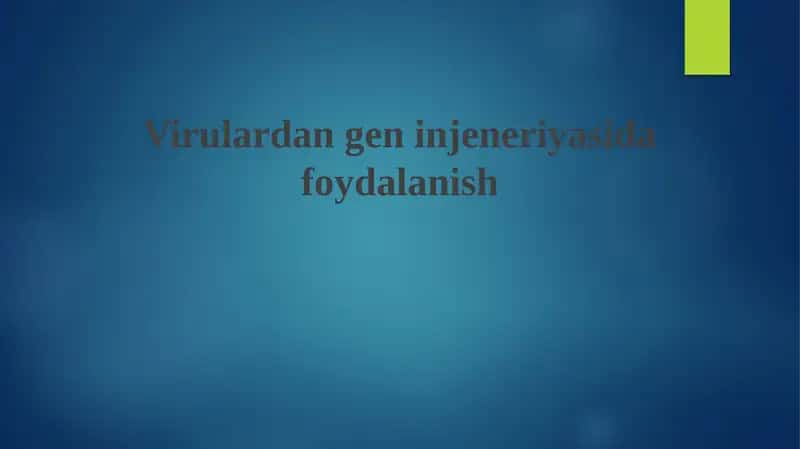 Viruslar