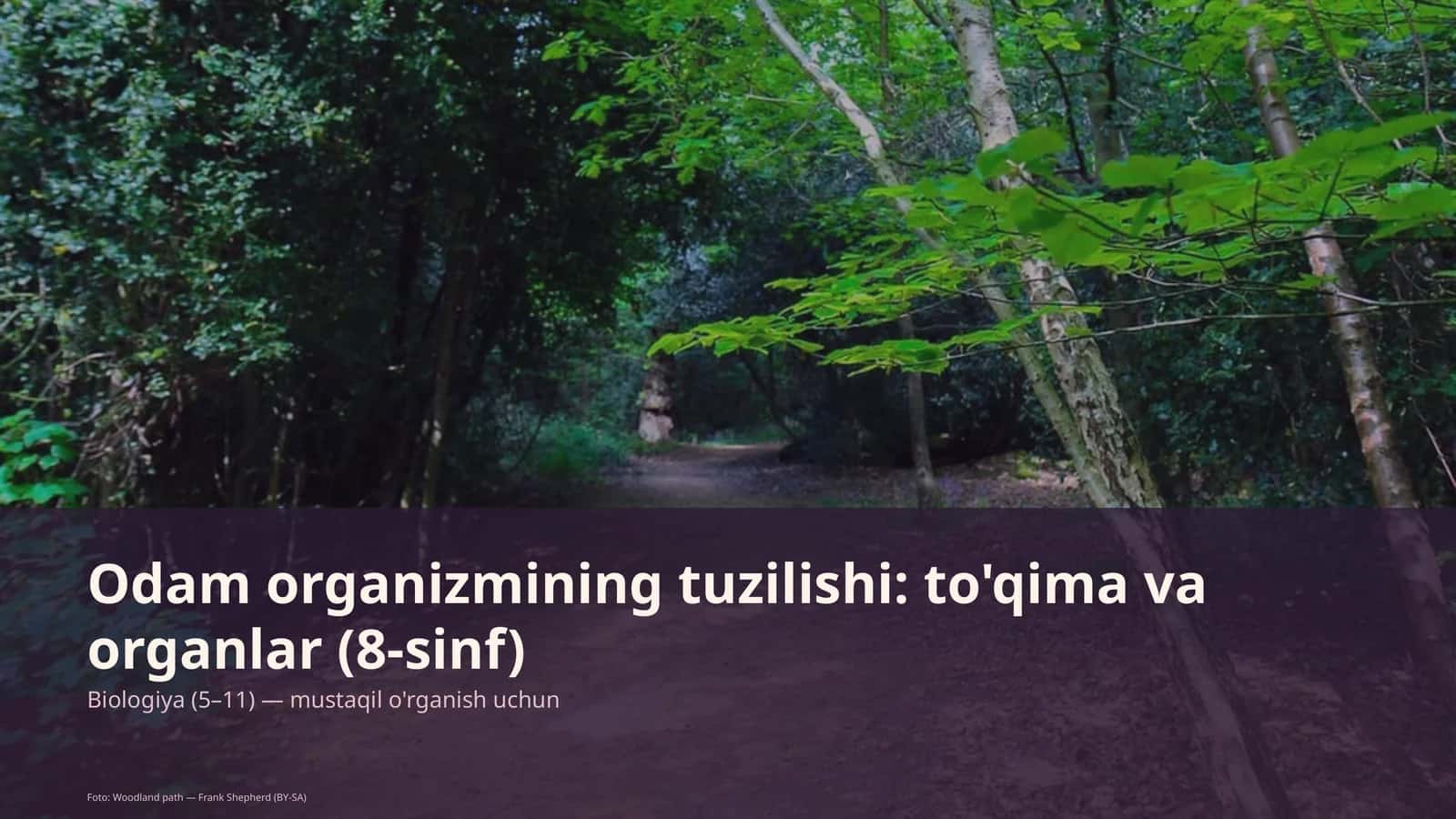 Odam organizmining tuzilishi: to'qima va organlar (8-sinf)