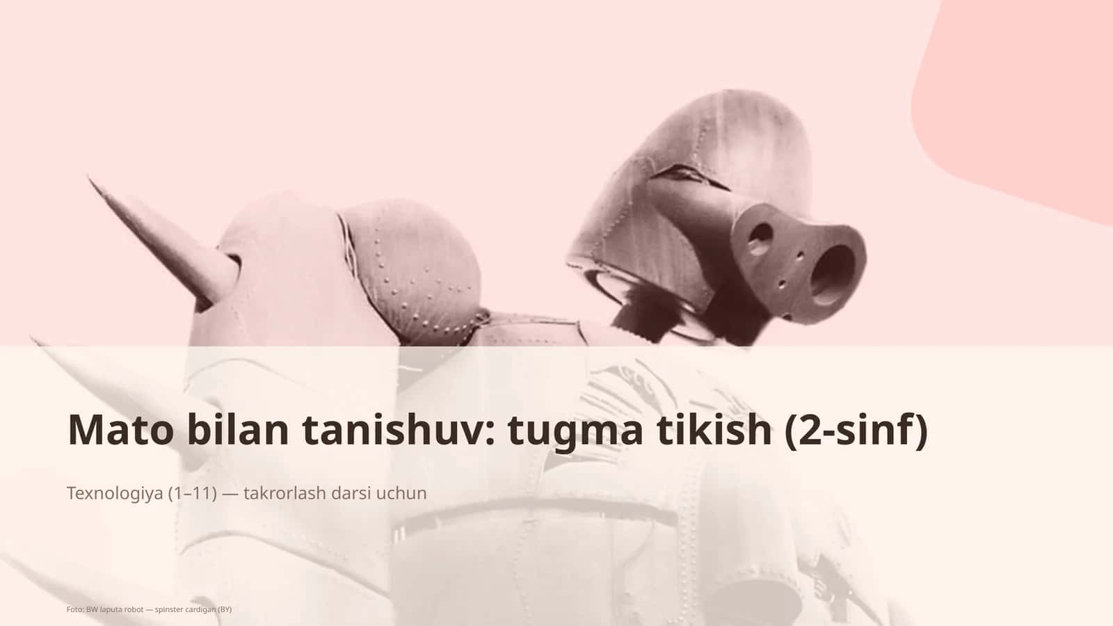 Mato bilan tanishuv: tugma tikish (2-sinf)