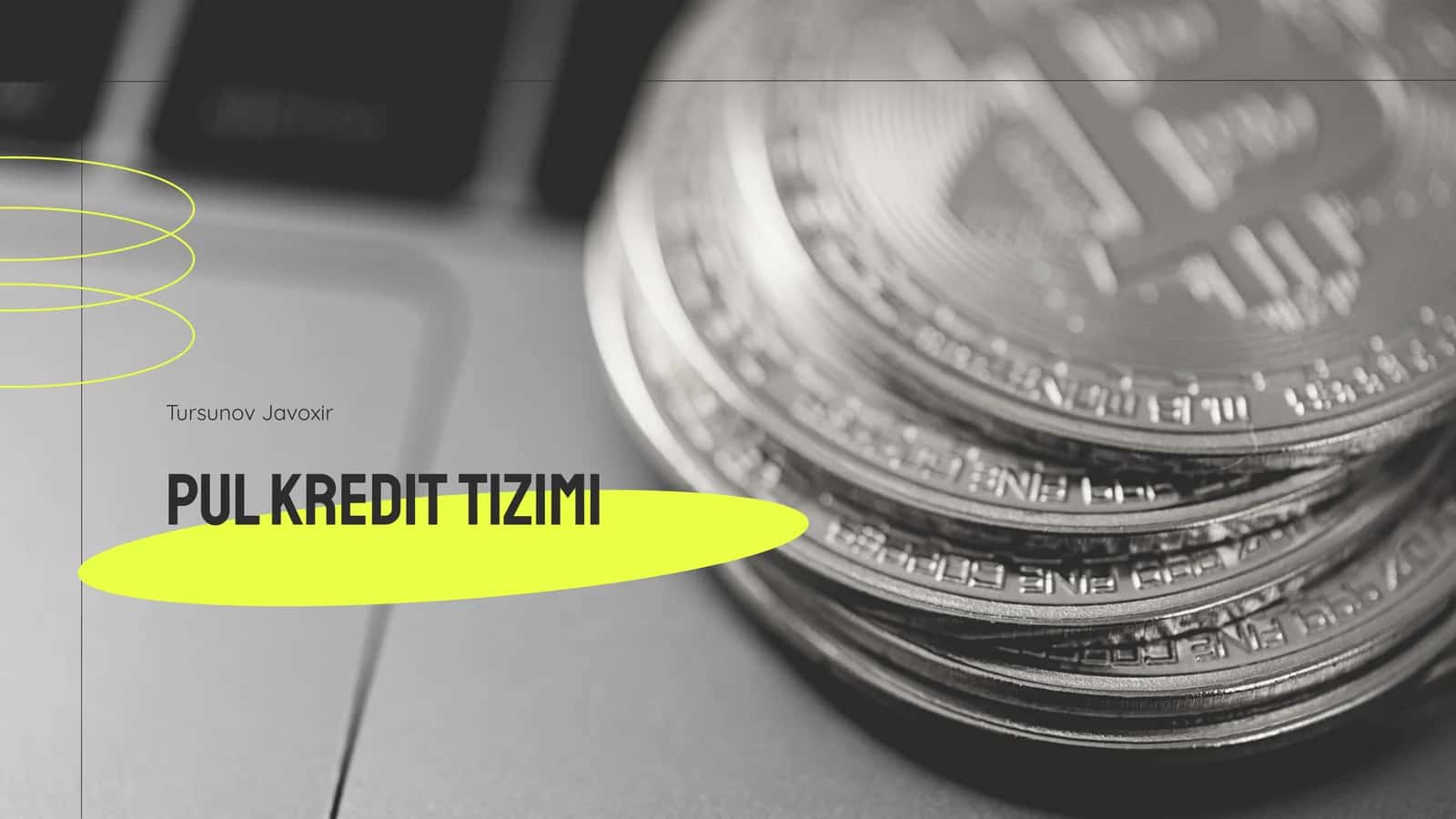 Pul kredit tizimi