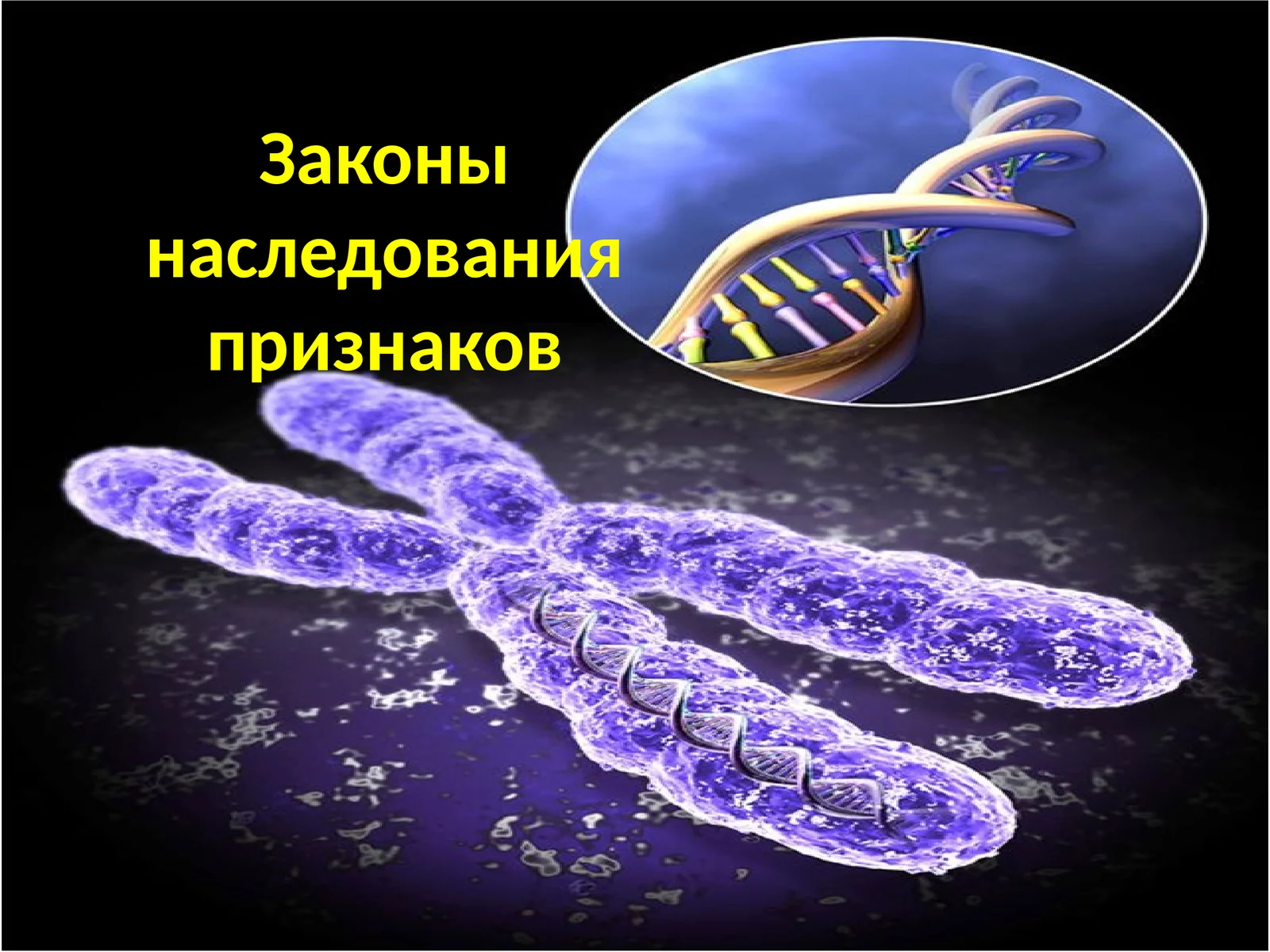Генетика