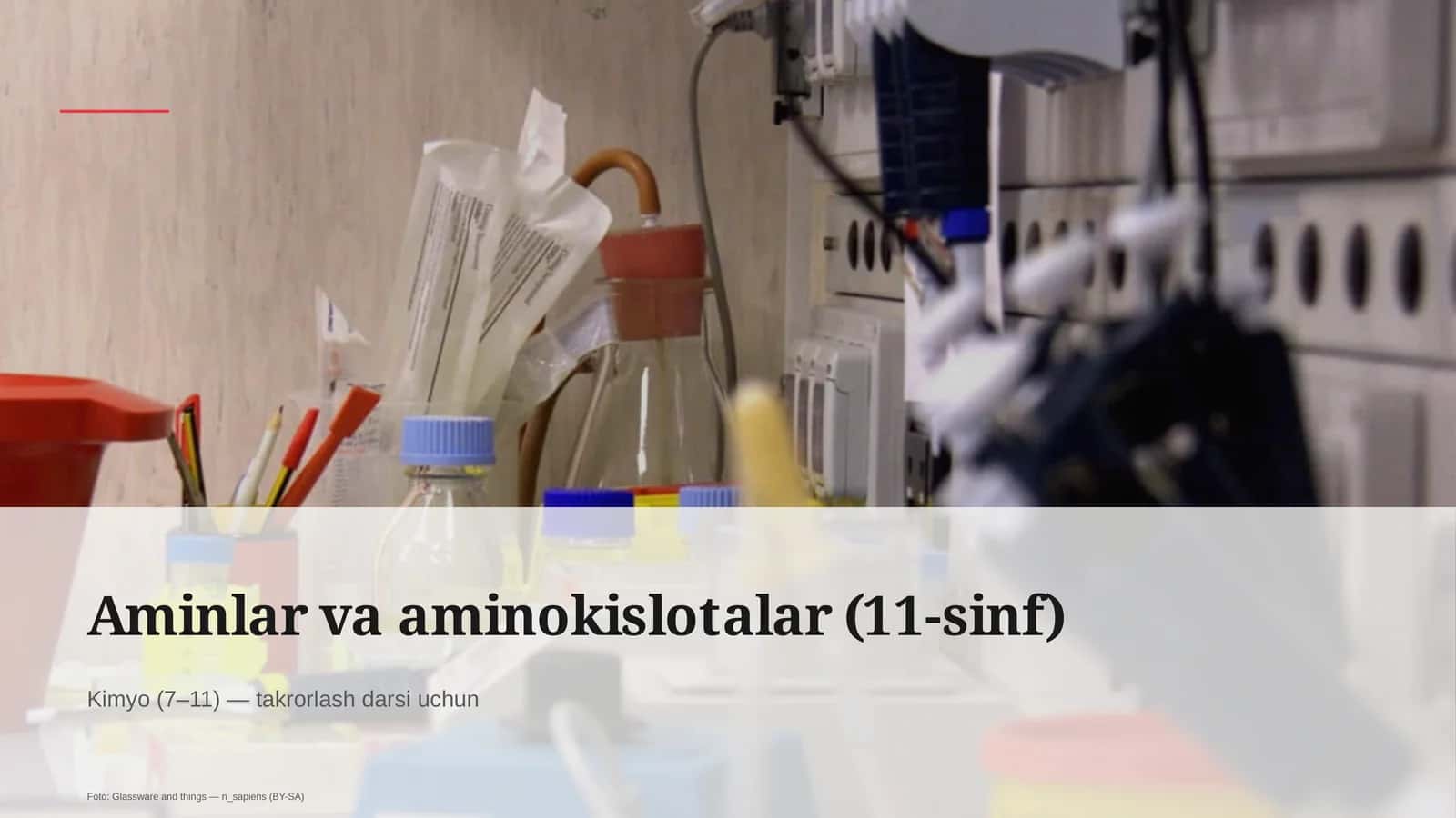 Aminlar va aminokislotalar (11-sinf)