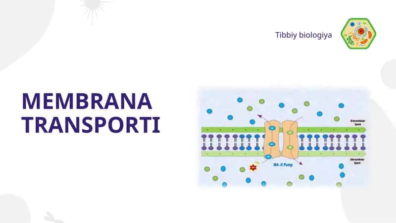 MEMBRANA  TRANSPORTI