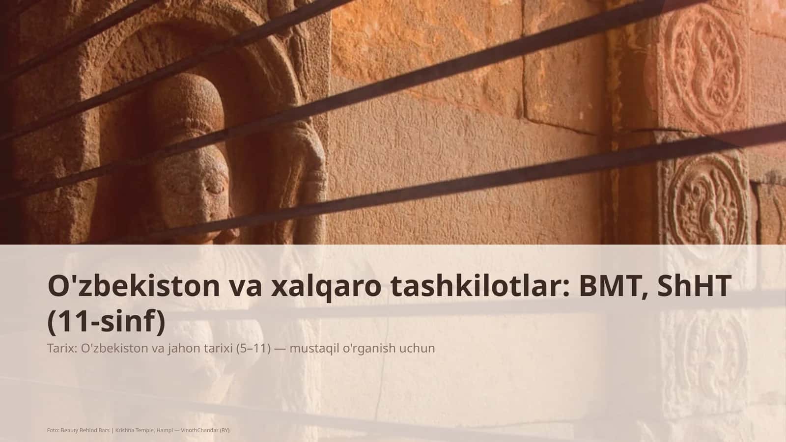 O'zbekiston va xalqaro tashkilotlar: BMT, ShHT (11-sinf)