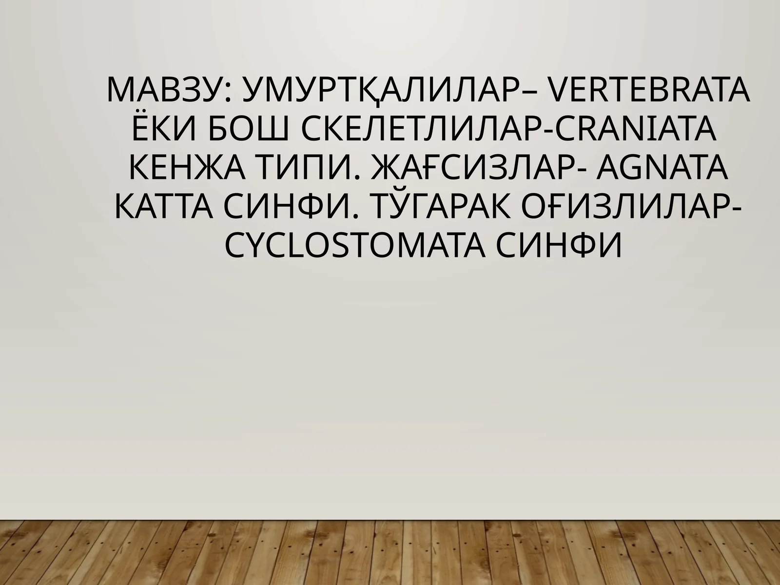 Умуртқалилар– Vertebrata ёки Бош скелетлилар-Craniata кенжа типи