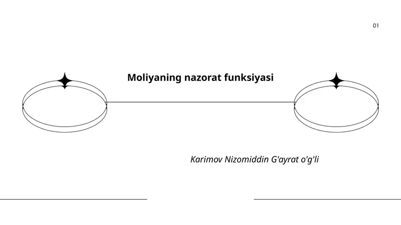 Moliyaning nazorat funksiyasi