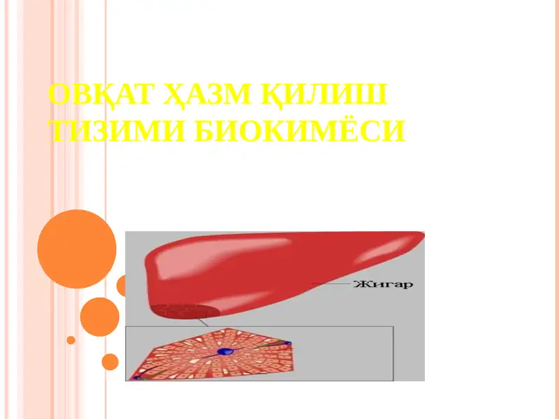 ОВҚАТ ҲАЗМ ҚИЛИШ ТИЗИМИ БИОКИМЁСИ.