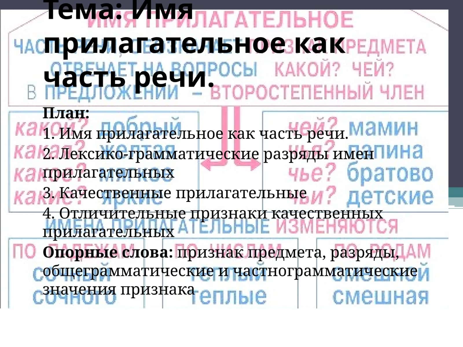 Имя прилагательное как часть речи