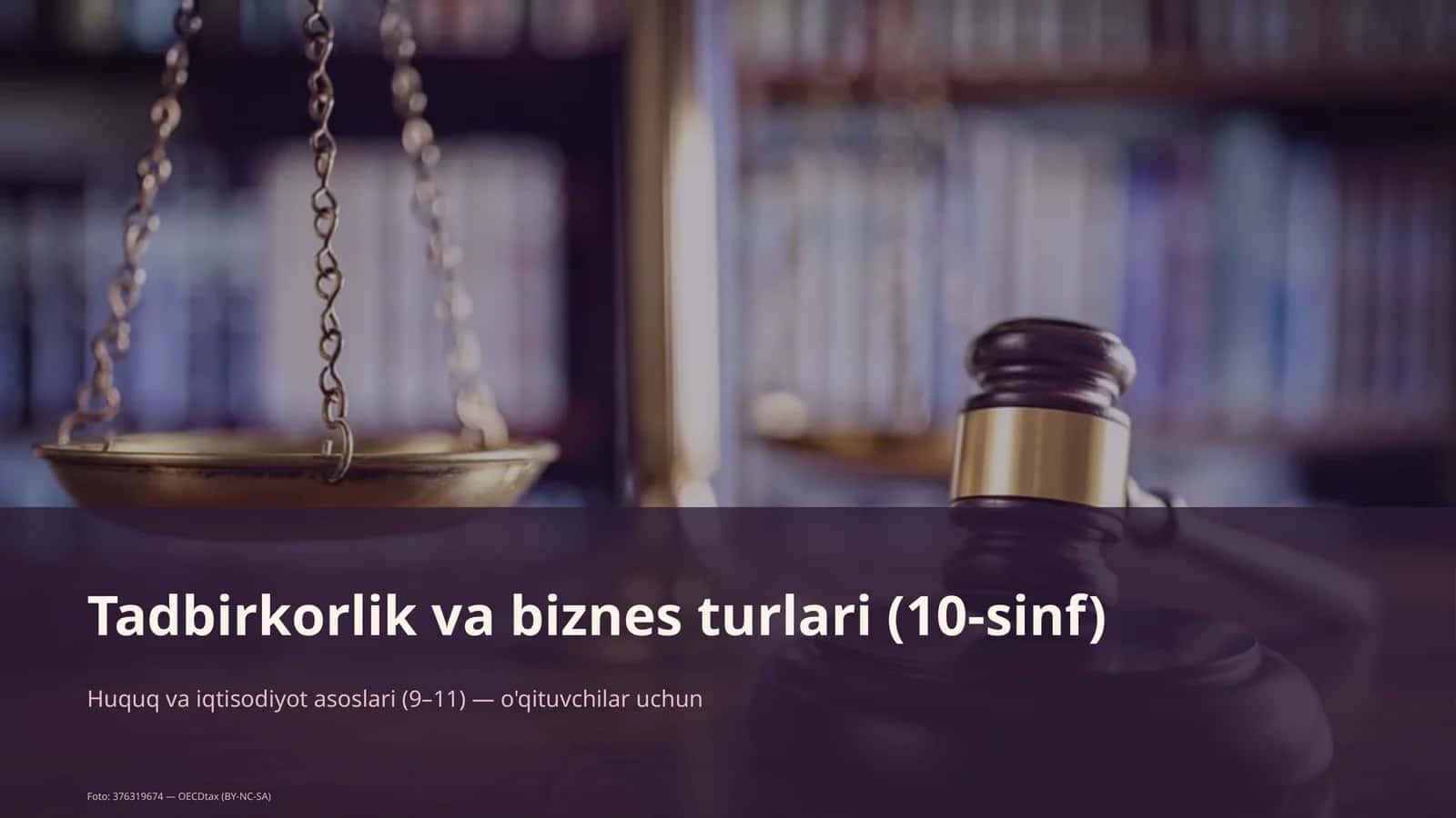 Tadbirkorlik va biznes turlari (10-sinf)