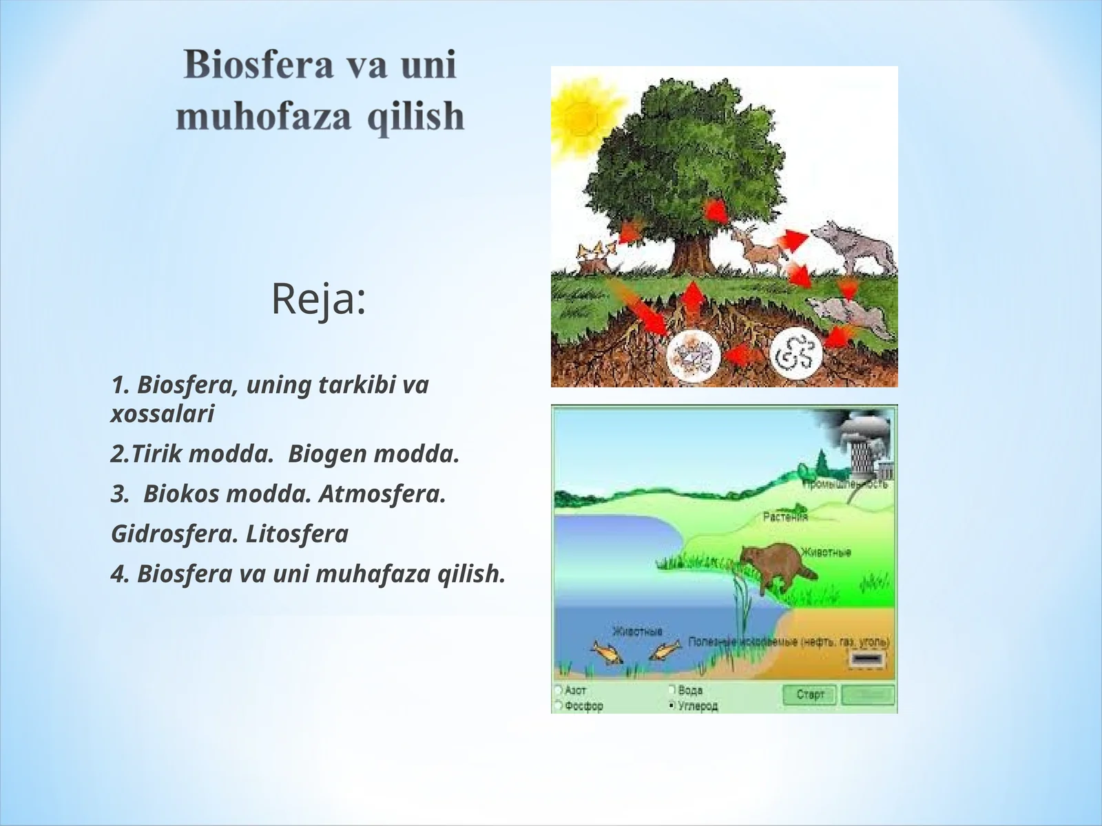 Biosfera, uning tarkibi va xossalari