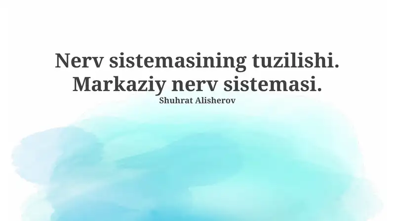 Nerv sistemasining tuzilishi