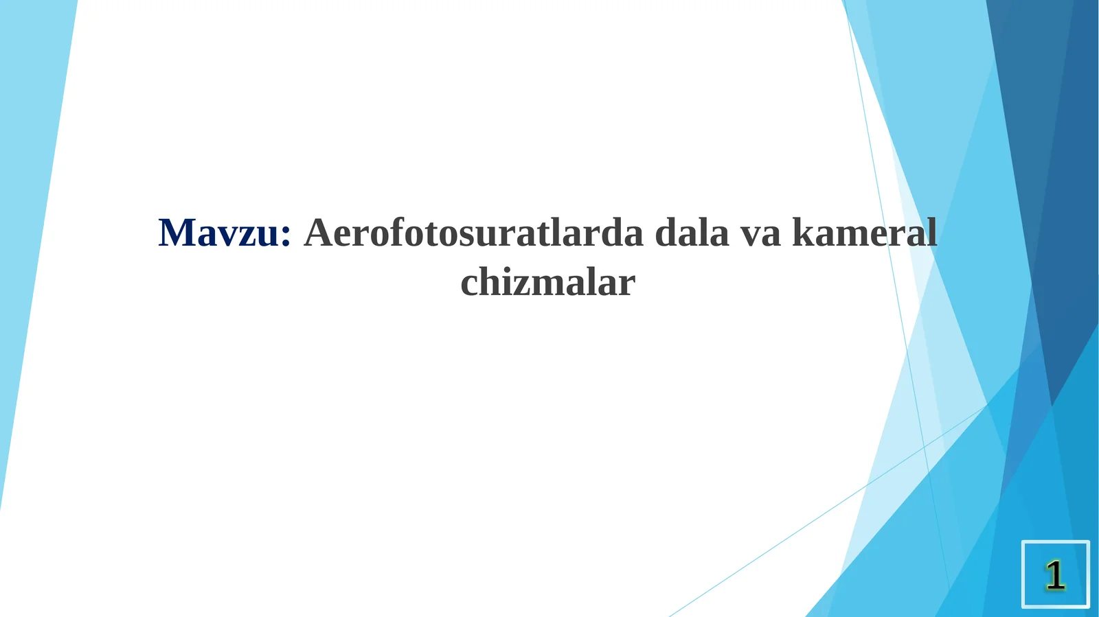 Aerofotosuratlarda dala va kameral chizmalar