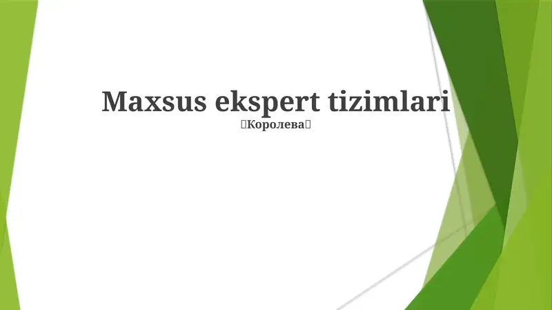 Maxsus ekspert tizimlari