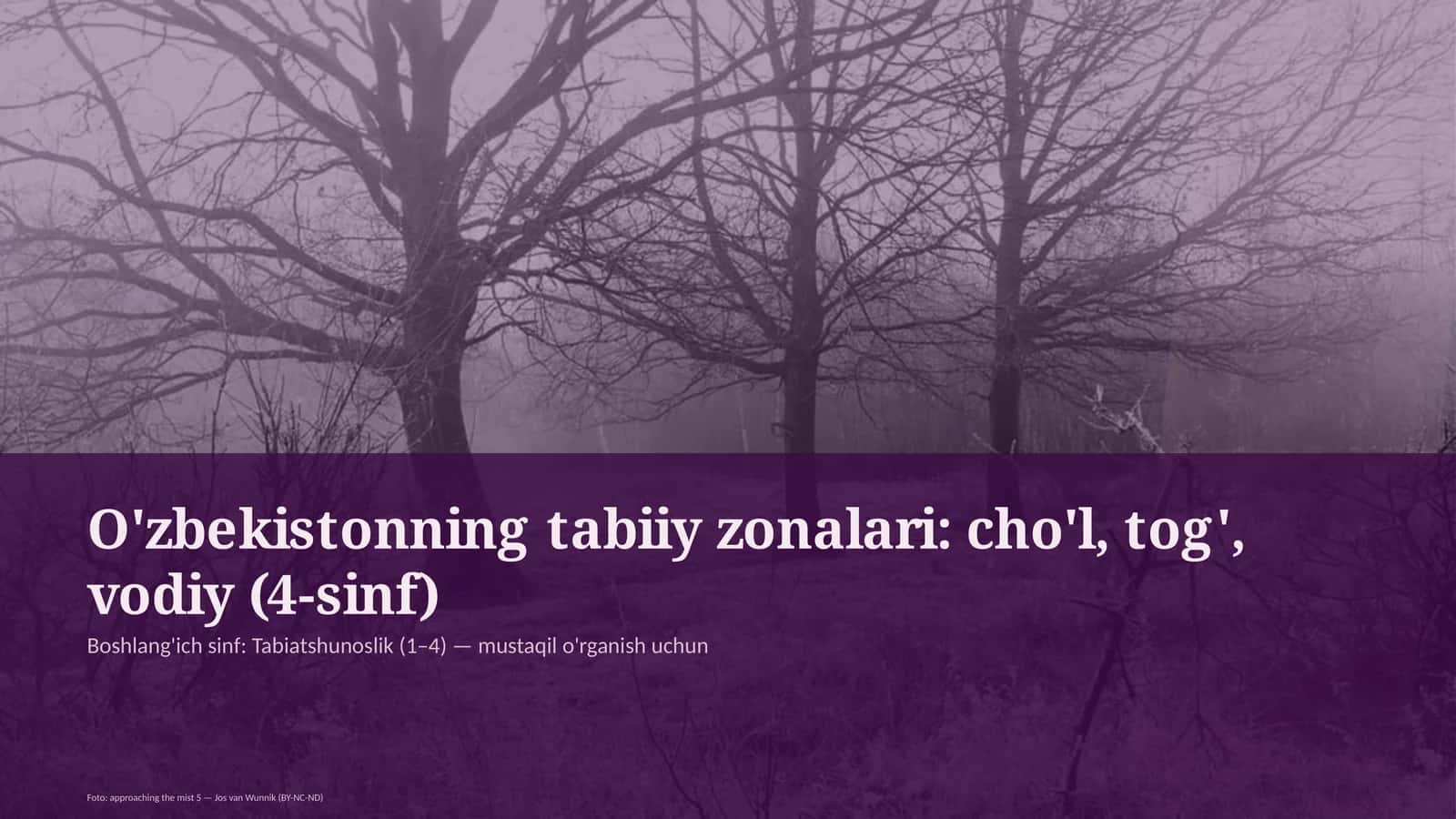 O'zbekistonning tabiiy zonalari: cho'l, tog', vodiy (4-sinf)