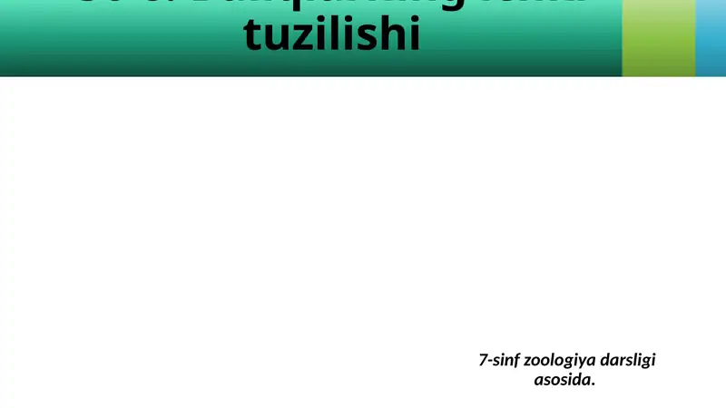 Baliqlarning ichki tuzilishi