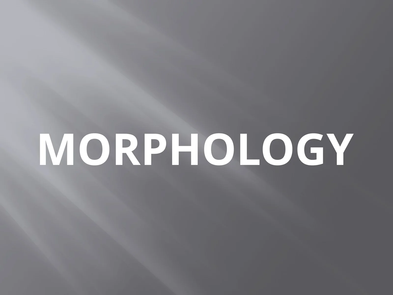MORPHOLOGY