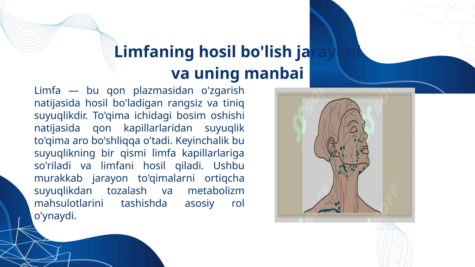 Limfaning hosil bo'lish jarayoni va uning manbai