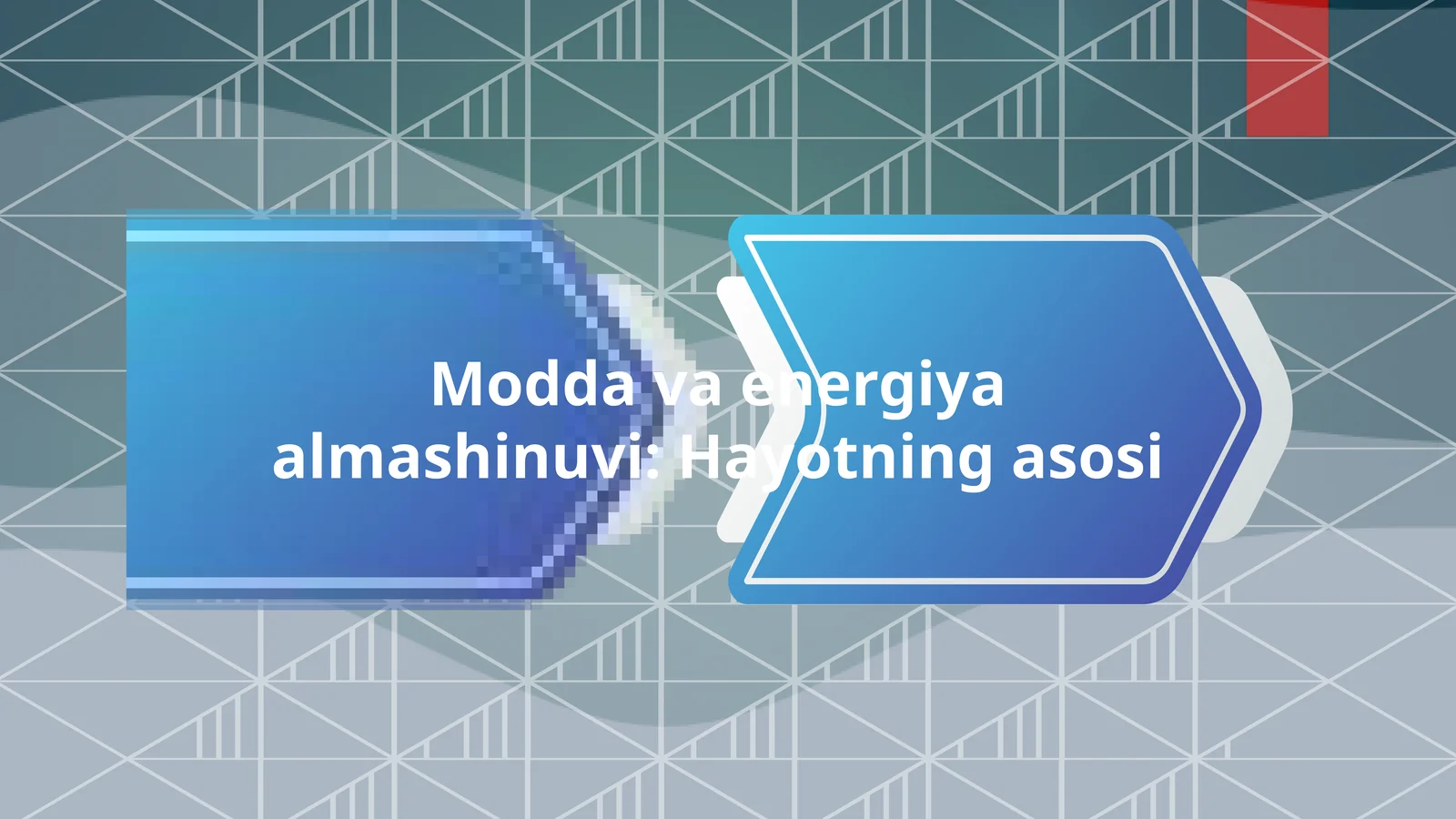 Modda va energiya almashinuvi: Hayotning asosi