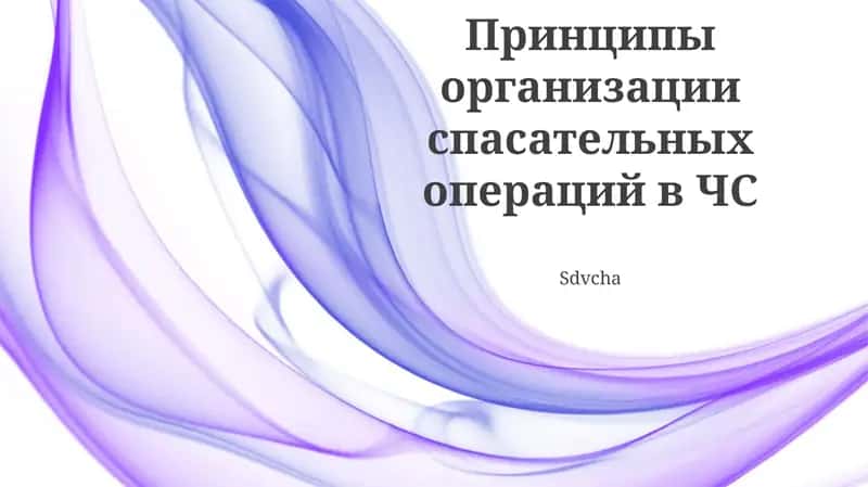 Принципы организации спасательных операций в ЧС
