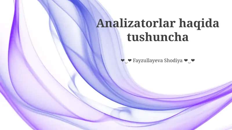 Analizatorlar haqida tushuncha