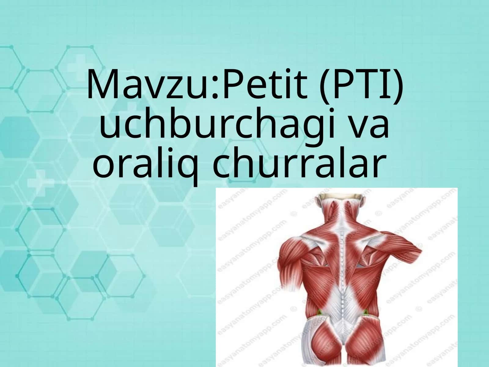 Petit(PTI) uchburchagi va oraliq churralar